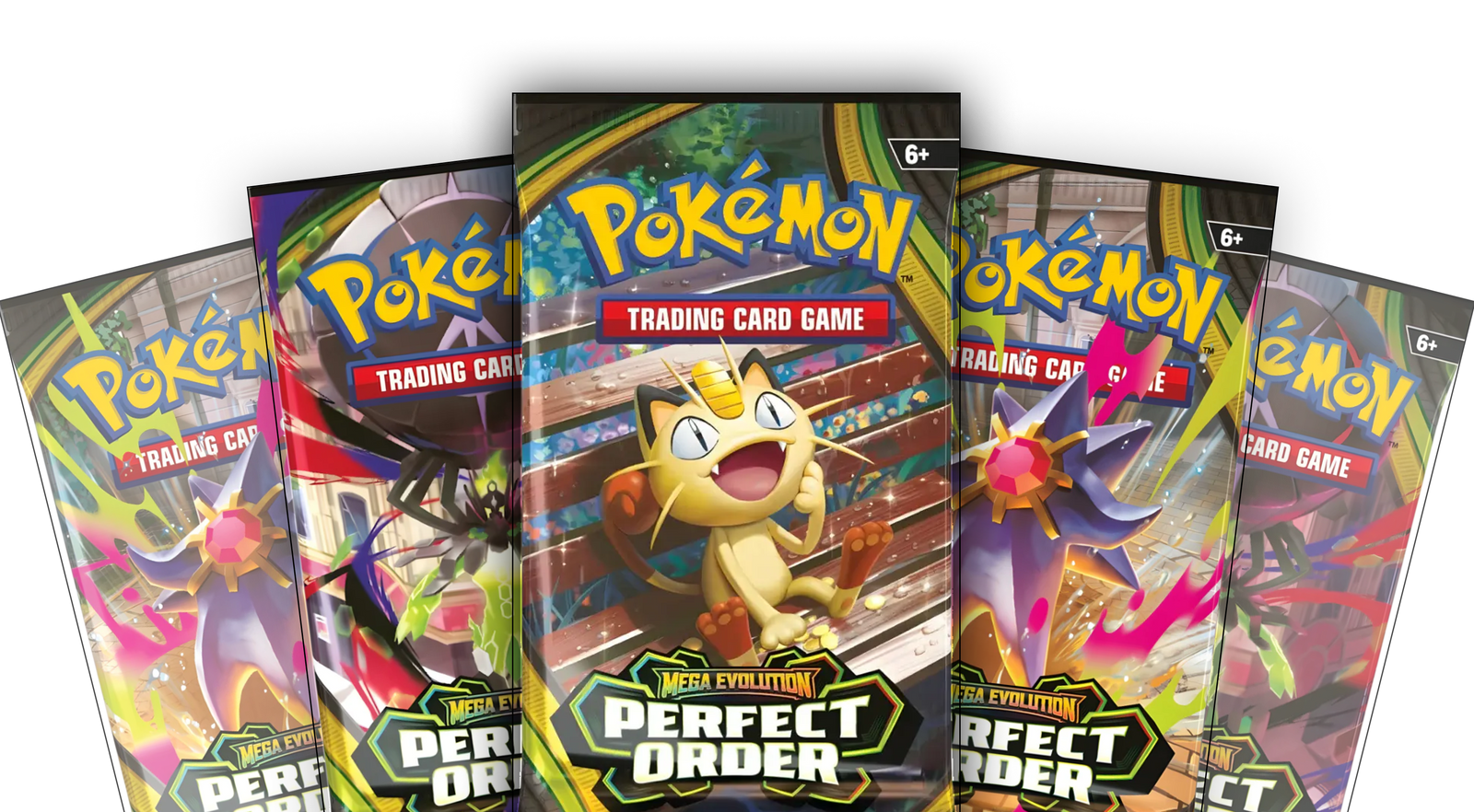 Perfect Order Collector's Bundle — highlight 2
